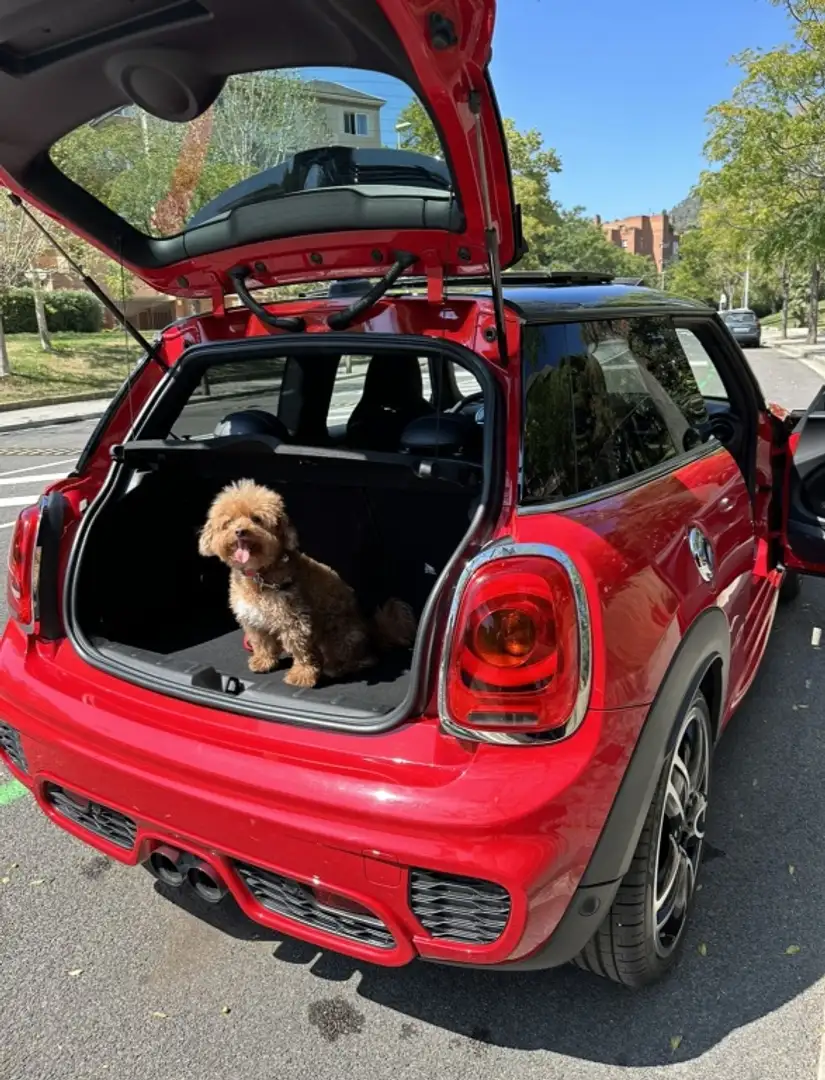MINI John Cooper Works Aut. Rojo - 2
