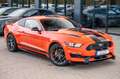 Ford Mustang 3,7 Gt 350 SHELBY BRC LPG Orange - thumbnail 8