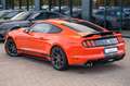 Ford Mustang 3,7 Gt 350 SHELBY BRC LPG Orange - thumbnail 14
