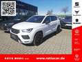 SEAT Ateca ATECA FR 2.0 TDI DSG 4DRIVE BEHEIZB. FS NAVI SHZ Blanco - thumbnail 1