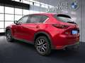 Mazda CX-5 CD175 AWD Revolution Top Rosso - thumbnail 10