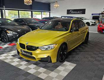 DKG - Austin Yellow