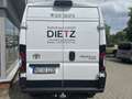 Toyota Proace Max Max Elektromotor Heavy L3H2 Meister 4,25t *Allwett Alb - thumbnail 5
