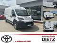 Toyota Proace Max Max Elektromotor Heavy L3H2 Meister 4,25t *Allwett Alb - thumbnail 1