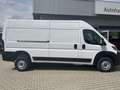 Toyota Proace Max Max Elektromotor Heavy L3H2 Meister 4,25t *Allwett Alb - thumbnail 3