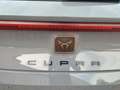 CUPRA Leon Leon 1.5 hybrid 150cv dsg Full optional Grau - thumbnail 5