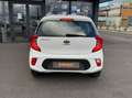 Kia Picanto 1.0 dpi 65ch motion - thumbnail 21