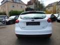Ford Focus Business 1-Hand PDC Tempomat Blanc - thumbnail 5