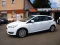 Ford Focus Business 1-Hand PDC Tempomat Blanc - thumbnail 1