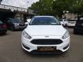 Ford Focus Business 1-Hand PDC Tempomat Blanc - thumbnail 2