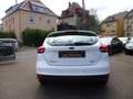 Ford Focus Business 1-Hand PDC Tempomat Blanc - thumbnail 7