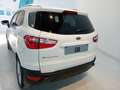 Ford EcoSport 1.5 TDCi 95 CV Titanium Bianco - thumbnail 5