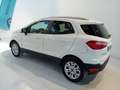 Ford EcoSport 1.5 TDCi 95 CV Titanium Bianco - thumbnail 6