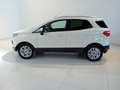 Ford EcoSport 1.5 TDCi 95 CV Titanium Bianco - thumbnail 7