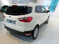Ford EcoSport 1.5 TDCi 95 CV Titanium Bianco - thumbnail 4