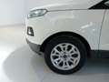 Ford EcoSport 1.5 TDCi 95 CV Titanium Bianco - thumbnail 8