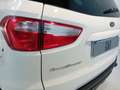 Ford EcoSport 1.5 TDCi 95 CV Titanium Bianco - thumbnail 18