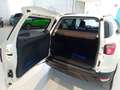 Ford EcoSport 1.5 TDCi 95 CV Titanium Bianco - thumbnail 13
