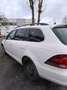 Volkswagen Golf Variant Comfortline Weiß - thumbnail 2