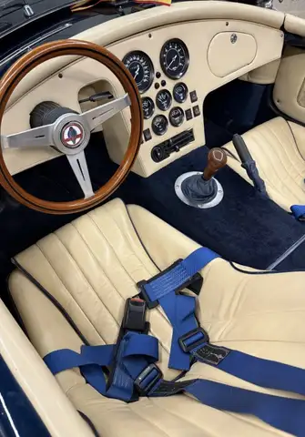Ac Ac Cobra view 10