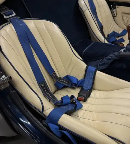 Ac Ac Cobra view 14