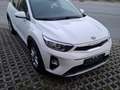 Kia Stonic 1,25 MPI ISG Österreich Edition Weiß - thumbnail 1
