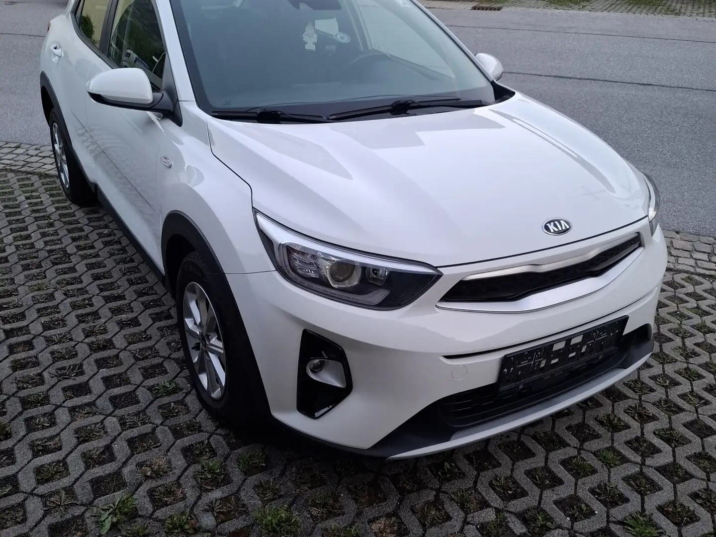 Kia Stonic 1,25 MPI ISG Österreich Edition Weiß - 1