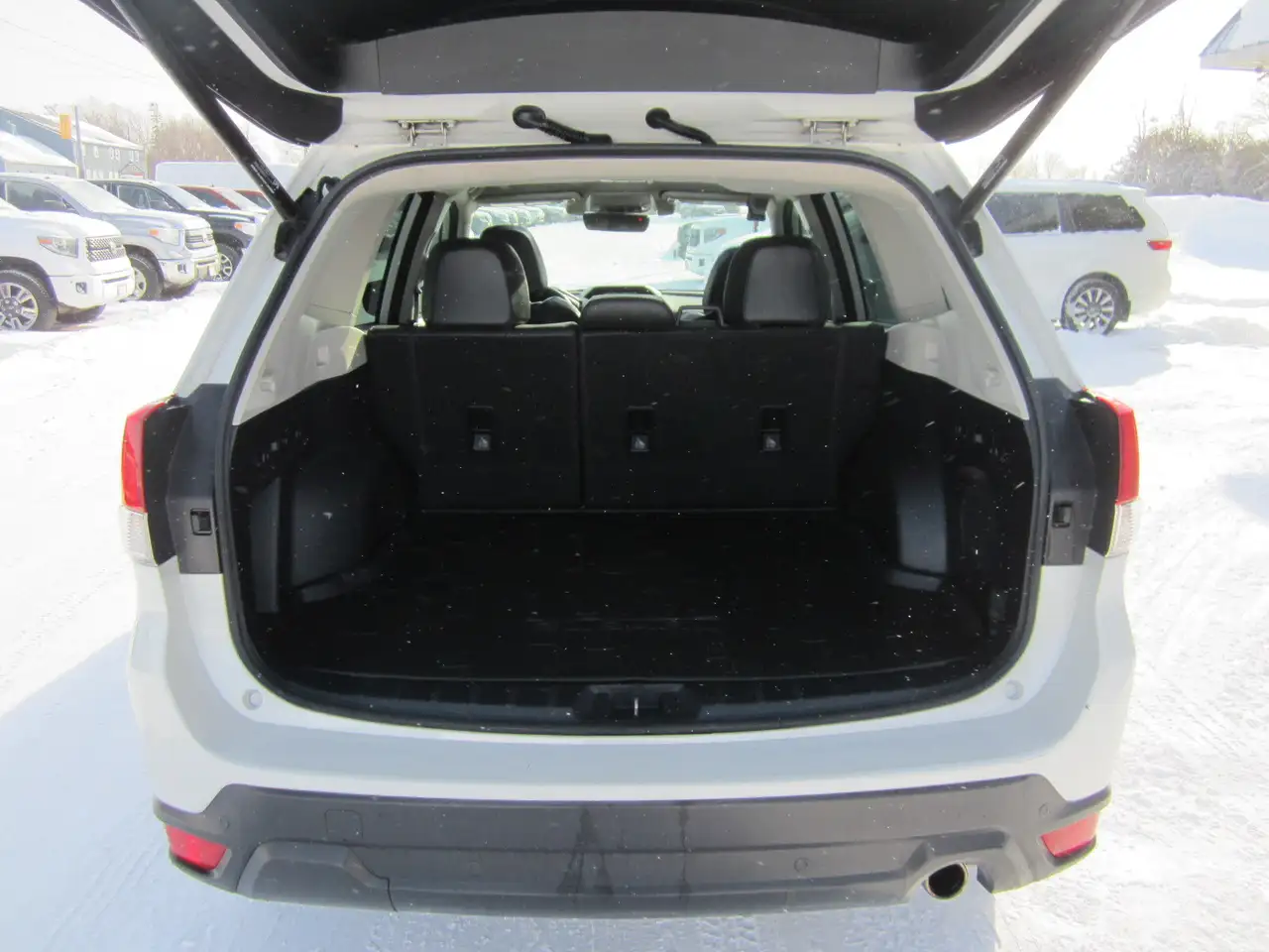 Subaru Forester fotografie Subaru Forester