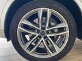 Audi Q7 3.0TDI quattro tiptronic 7pl. 200kW(9.75) Gris - thumbnail 49