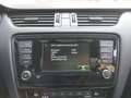 Skoda Octavia Octavia 2.0 TDI NUR GEWERBE 1 Hd. 4x4 DSG Scout - thumbnail 20