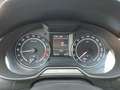 Skoda Octavia Octavia 2.0 TDI NUR GEWERBE 1 Hd. 4x4 DSG Scout - thumbnail 12