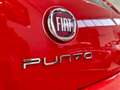 Fiat Punto 1.4 8V 5p. NaturalPower Street *NEOPATENTATI* Rosso - thumbnail 5