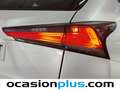Lexus NX 300 300h Business Navigation 2WD Blanc - thumbnail 19