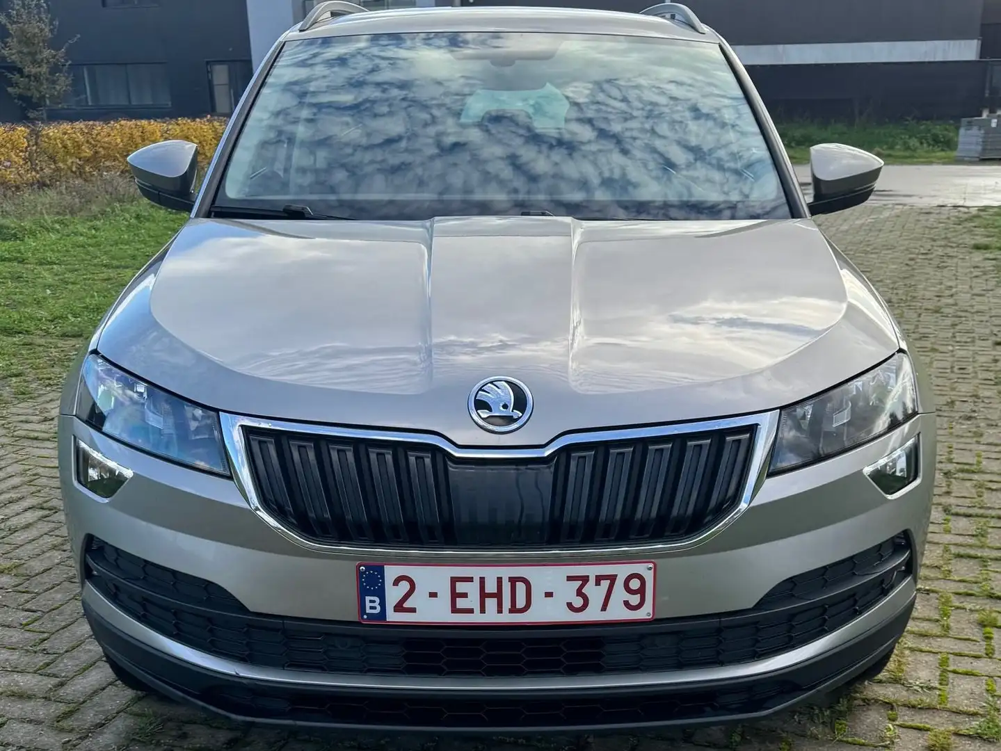 Skoda Karoq Skoda Karoq 1.0TSI DSG Ambition Beige - 1