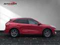 Ford Kuga Plug-In Hybrid ST-Line X Sportpaket Bluetooth Red - thumbnail 4