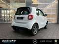 smart forTwo smart EQ fortwo Cool&Media+Panorama+Sitzheizung Weiß - thumbnail 4