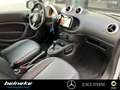 smart forTwo smart EQ fortwo Cool&Media+Panorama+Sitzheizung Weiß - thumbnail 9