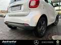 smart forTwo smart EQ fortwo Cool&Media+Panorama+Sitzheizung Weiß - thumbnail 6