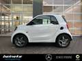 smart forTwo smart EQ fortwo Cool&Media+Panorama+Sitzheizung Weiß - thumbnail 3