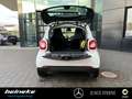 smart forTwo smart EQ fortwo Cool&Media+Panorama+Sitzheizung Weiß - thumbnail 22