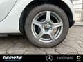 smart forTwo smart EQ fortwo Cool&Media+Panorama+Sitzheizung Weiß - thumbnail 19