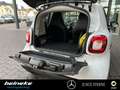 smart forTwo smart EQ fortwo Cool&Media+Panorama+Sitzheizung Weiß - thumbnail 21