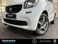 smart forTwo smart EQ fortwo Cool&Media+Panorama+Sitzheizung Weiß - thumbnail 5
