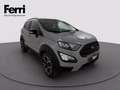 Ford EcoSport 1.0 ecoboost Active s&s 125cv Grigio - thumbnail 11