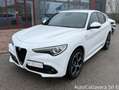 Alfa Romeo Stelvio 2.2 Turbodiesel 210 CV AT8 Q4 Veloce / GH406MD Blanco - thumbnail 1