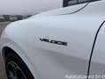 Alfa Romeo Stelvio 2.2 Turbodiesel 210 CV AT8 Q4 Veloce / GH406MD Blanco - thumbnail 26