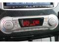 Ford Focus Focus 2.5 T BERLINE RS PHASE 2 Verde - thumbnail 27
