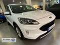 Ford Kuga 1.5 EcoBlue Titanium FWD 120 Blanco - thumbnail 3
