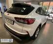 Ford Kuga 1.5 EcoBlue Titanium FWD 120 Blanco - thumbnail 4