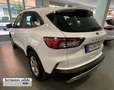 Ford Kuga 1.5 EcoBlue Titanium FWD 120 Blanco - thumbnail 2